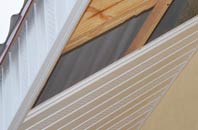 rated Luccombe Village soffit repair companies
